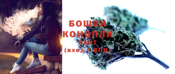 первитин Богданович