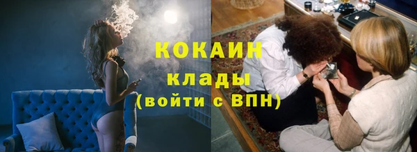 первитин Богданович