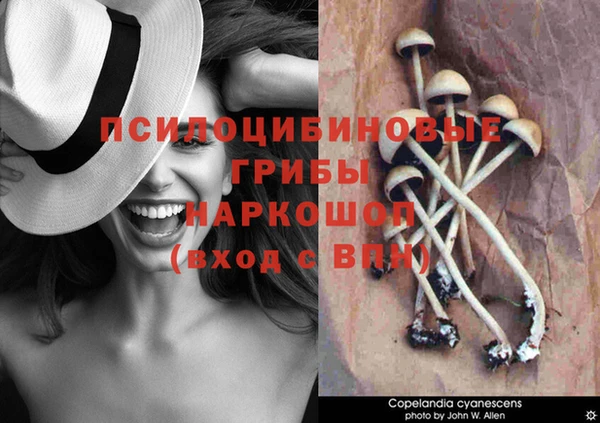 соль курить ск Богородск