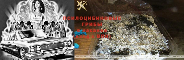 героин Богородицк