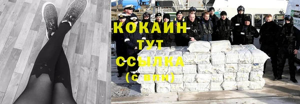 первитин Богданович
