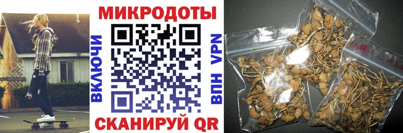 наркошоп  Оренбург  Галлюциногенные грибы Cubensis 